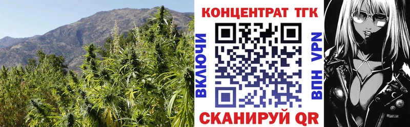 Купить закладки  Мглин  ТГК THC oil 