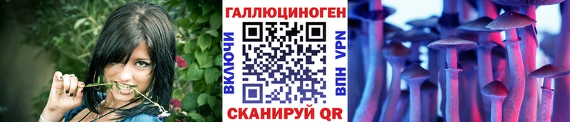 Галлюциногенные грибы MAGIC MUSHROOMS  Купить где  Мглин 