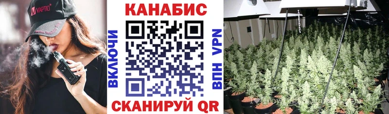 Купить где  Мглин  Бошки Шишки гибрид 